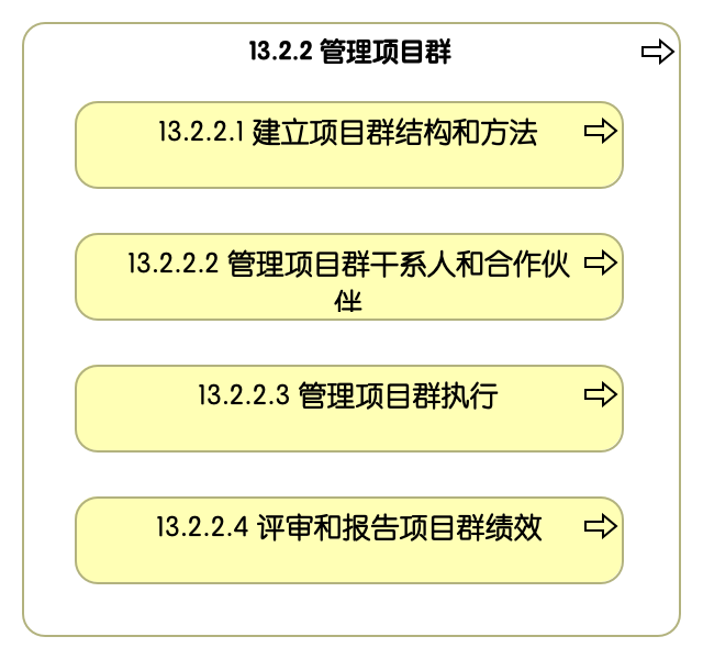 13.2.2 管理项目群
