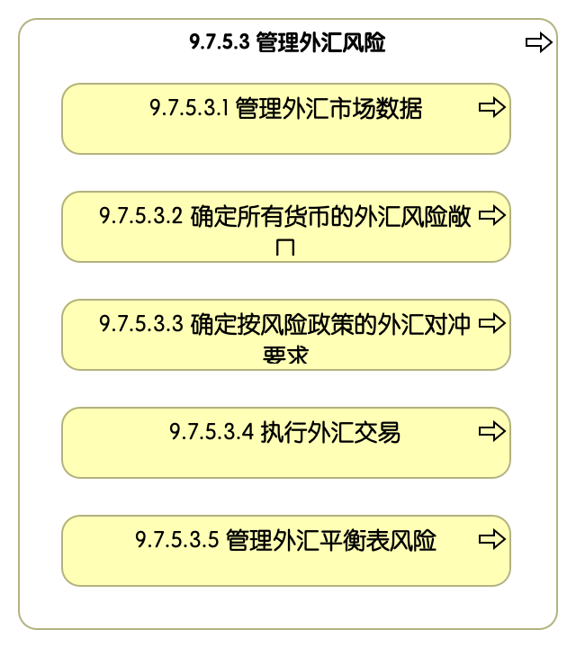 9.7.5.3 管理外汇风险