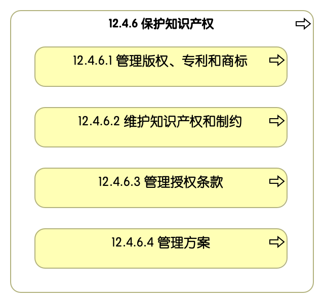 12.4.6 保护知识产权