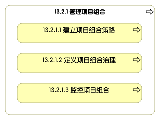 13.2.1 管理项目组合